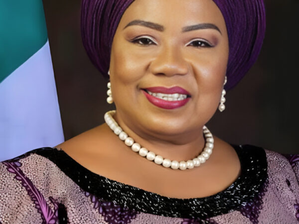 FCT Minister appoints new GMD of Abuja Investments Company Limited – AICL